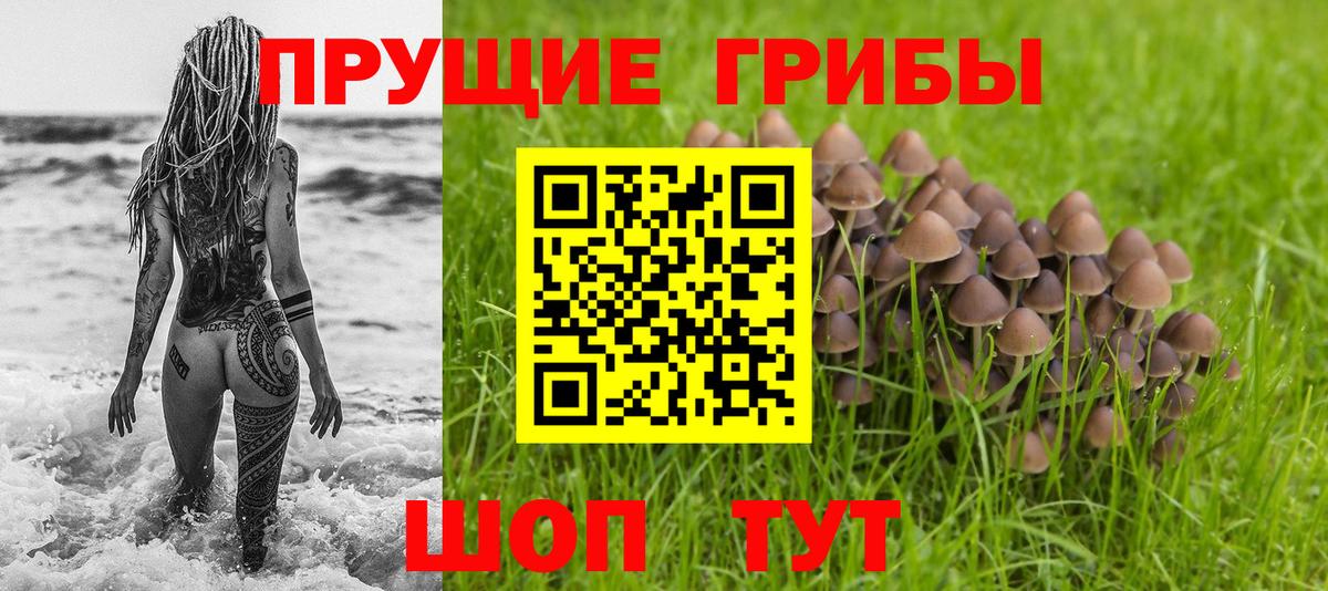Сарапул  Галлюциногенные грибы прущие грибы  закладки  Вход с VPN  Галлюциногенные грибы Cubensis 