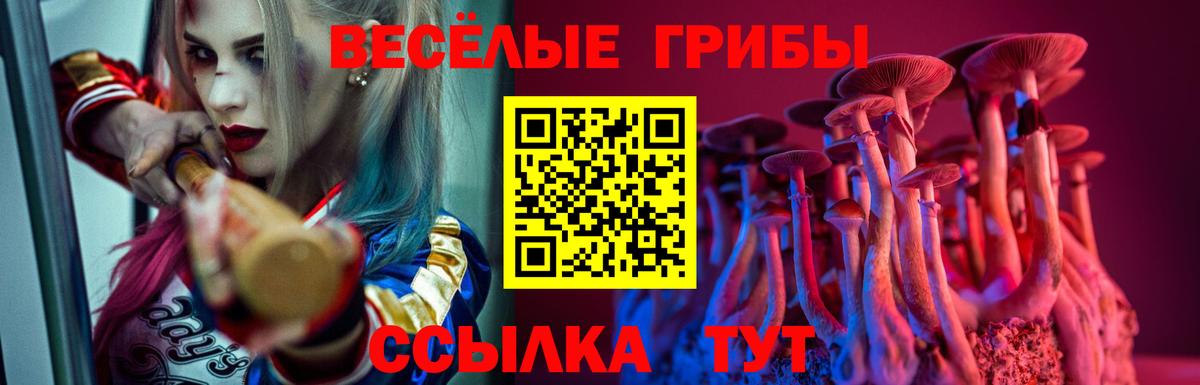 Псилоцибиновые грибы прущие грибы Сарапул